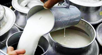 milk selling business | दुग्ध व्यापार का खेल समझे कर देगा माला माल
